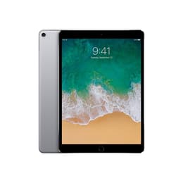 iPad Pro 10.5 (2017) 1st gen 256 GB - Wi-Fi - Space Gray